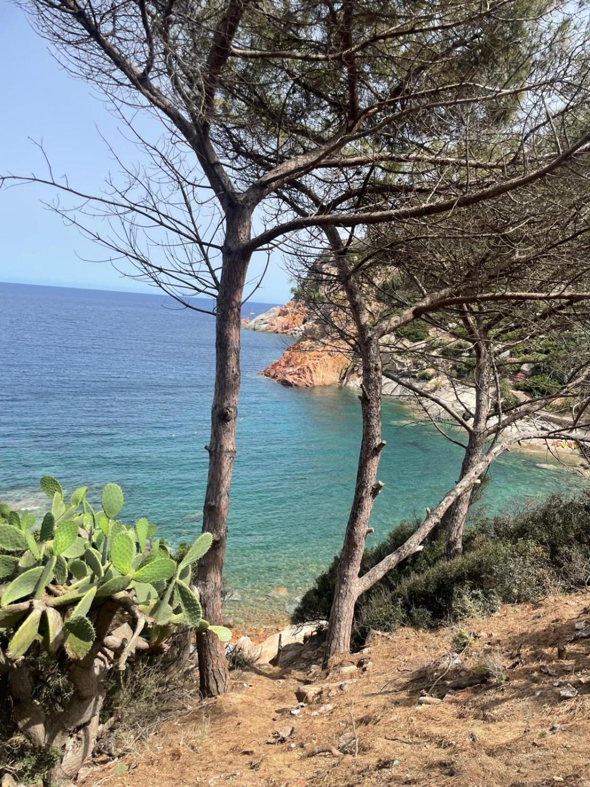 Hotel Splendor Tortolì Εξωτερικό φωτογραφία